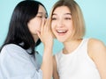 friendly gossip happy women secret whisper Royalty Free Stock Photo