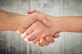 Friendly handshake. Man and woman shaking hands. Royalty Free Stock Photo