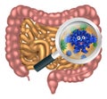 Friendly Intestine Probiotic Bacteria Mascot Royalty Free Stock Photo