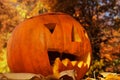 A friendly laughing Halloween pumpkin