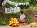 Friendly man selling coconuts on roadside near cemetery, Sri Lanka