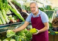 Friendly mature salesman in apron arranging cauliflower in shop