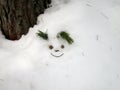 The friendly muzzle of a small dog on a snowdrift from cones and pine twigs