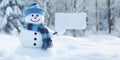 A friendly snowman with a sign that you can customize with your text.