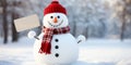 A friendly snowman with a sign that you can customize with your text.