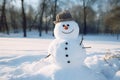 A friendly snowman smiling in a calm winter landscape