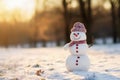 A friendly snowman smiling in a calm winter landscape