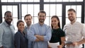 Group portrait of successful multiethnic business team in office Royalty Free Stock Photo