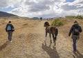 A Friendly, Wild Horse Decides to Walk With Tourists in Argentine Patagonia