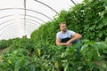 Friendly worker in the greenhouse growing and harvesting vegetables in the greenhouse