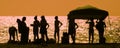 Silhouettes of people on beach