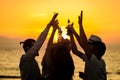 Friends Beach Party Drinks Toast Celebration Concept Royalty Free Stock Photo