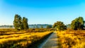 Friends biking through the Ermelose Heide