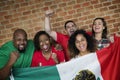 Friends cheering world cup with painted flag