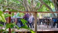 Friends Dining At An Outdoor Treetop Restaurant Royalty Free Stock Photo