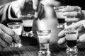 Friends drink shot or liqueur. Five glasses of alcohol.Tequila shots, vodka, whisky, rum. Black and white Royalty Free Stock Photo