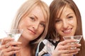 Friends drinking vermouth Royalty Free Stock Photo