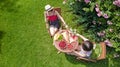 Friends eating together outdoors in summer garden, girls have picnic in park, aerial view of table with food and drinks