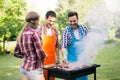 Friends enjoying bbq party in a park and smiling Royalty Free Stock Photo