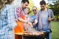 Friends enjoying bbq party and smiling in nature Royalty Free Stock Photo