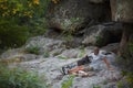 Man and dog. Miniature Schnauzer near canyon. Enjoing the time outside. Green trees and mountains on the background. Royalty Free Stock Photo