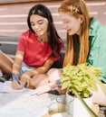 Friends girls doing research looking at the map making notes