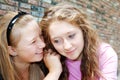 Friends gossiping Royalty Free Stock Photo