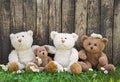 Friends or happy teddy bear family on wooden background for concepts. Royalty Free Stock Photo