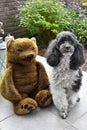 Friends, harlequin poodle and teddy bear