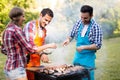 Friends having a barbecue party in nature Royalty Free Stock Photo