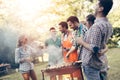 Friends having a barbecue party in nature Royalty Free Stock Photo