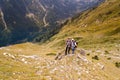 Friends on Mountain Pirin