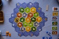 Friends playing settlers of catan board game