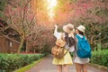 Friends pointing of blooming sakura Royalty Free Stock Photo