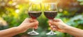 Friends raising glasses of red wine in a toast at a summer outdoor party celebration Royalty Free Stock Photo