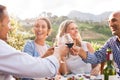 Friends raising toast