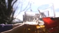 Friends Raising Wine Glasses Having a Festive Dinner toasting and Drinking different drinks against the sky and the sun Royalty Free Stock Photo