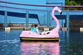 Friends relaxing on paddle flamingo boat at Seaworld Theme Park.