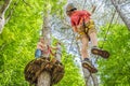 Friends on the ropes course. Young people in safety equipment are obstacles on the road rope Portrait of a disgruntled
