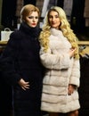 Friends in shop: ladies try expensive dark and white overcoats