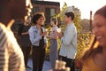 Friends socialising at a rooftop party, backlit by sunlight