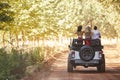 Friends standing in an open top car, back view Royalty Free Stock Photo