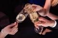 Friends toasting champagne at nightclub Royalty Free Stock Photo