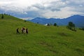 Friends trekking in Rarau mountains