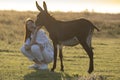 Friends, young girl and brown tame Donkey on the sunset meadow