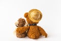 Friendship, teddy bear holding plush sheep in its arms, isolated