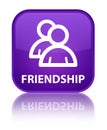 Friendship (group icon) special purple square button