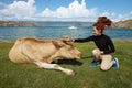 Friendship of human and animal. Girl and cow Royalty Free Stock Photo