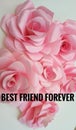 Friendship image walpapper with text,floral background