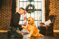 Friendship of man and dog. Pet golden retriever breed labrador shaggy dog. A man trains, teaches a dog to give a paw, to execute c Royalty Free Stock Photo